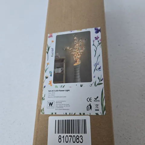 SET OF 2 LED FLOWER LIGHTS – WHITE, BOXED
