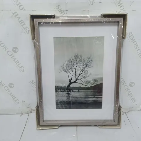 METALLIC LUSTRE MOUTED BOX FRAME 