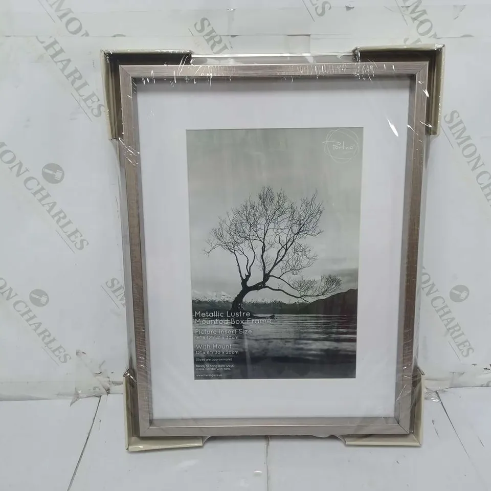 METALLIC LUSTRE MOUTED BOX FRAME 