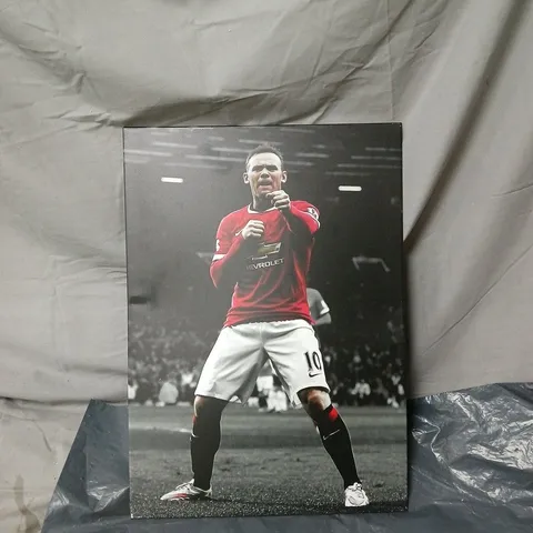 WAYNE ROONEY MANCHESTER UNITED DISPLATE ART 