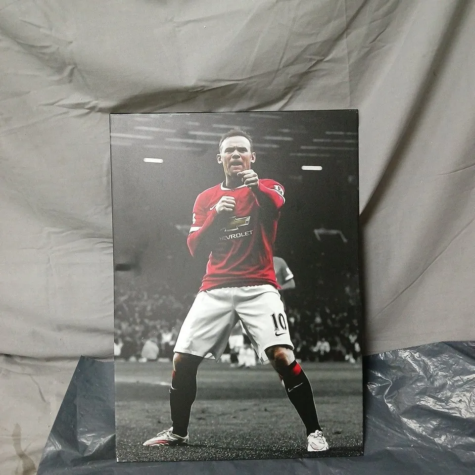 WAYNE ROONEY MANCHESTER UNITED DISPLATE ART 
