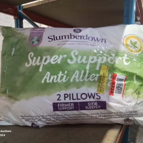 BAGGED SET OF 2 SLUMBERDOWN SUPER SUPPORT ANTI-ALLERGY PILLOWS