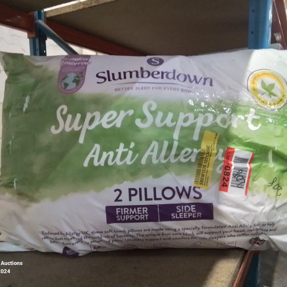 BAGGED SET OF 2 SLUMBERDOWN SUPER SUPPORT ANTI-ALLERGY PILLOWS