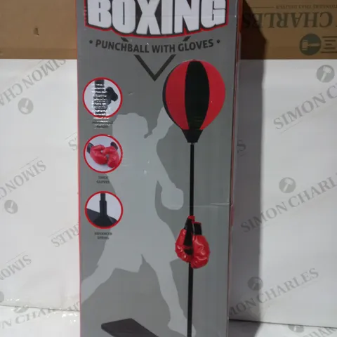 DESIGNER BOXING PUNCHBALL WITH GLOVES