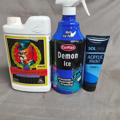 APPROX 10 ASSORTED ITEMS TO INCLUDE - CARPLAN DEMON ICE DE-ICER, SOL ART ACRYLIC PAINT, CONNOISSEUR GROW PART A