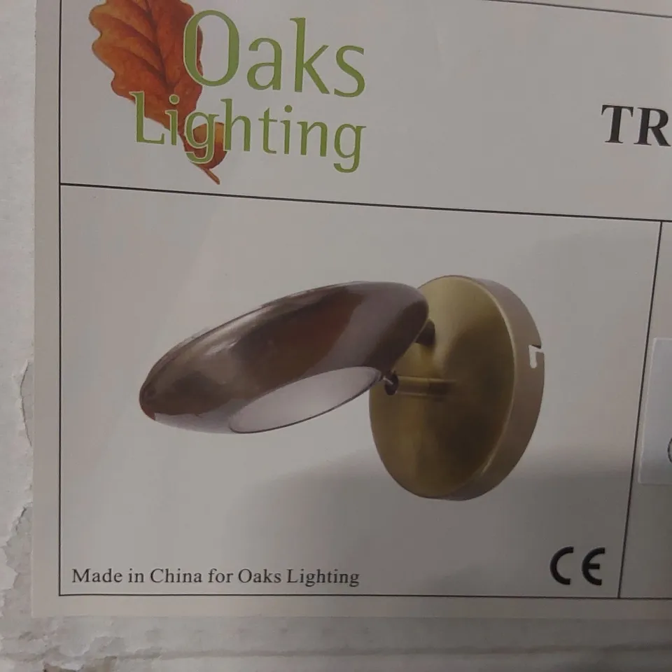 BOXED SEVERN SPOTLIGHT 