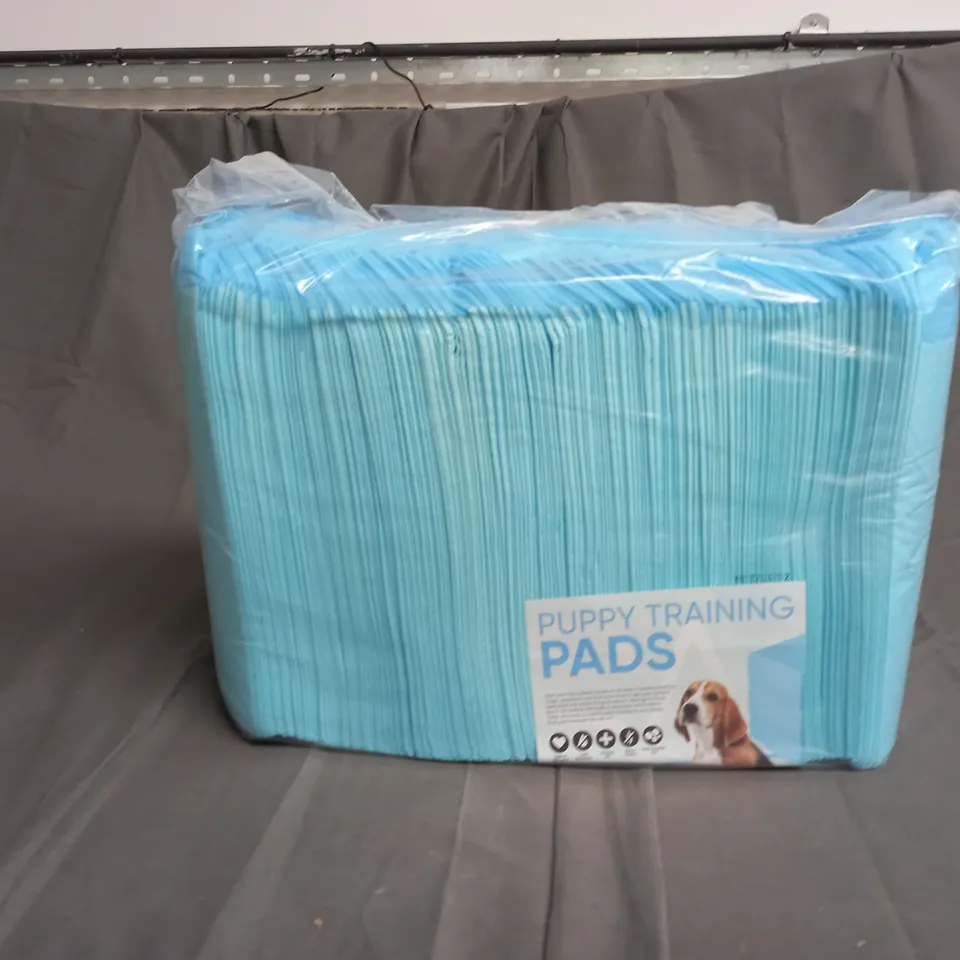 BAG OF PUPPY TRAINING PADS