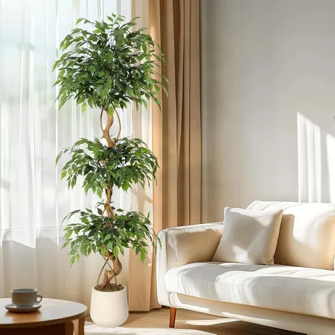 BOXED GARVEE 183CM ARTIFICIAL FICUS TREE WITH CURVED TRUNK – REALISTIC POTTED FAUX EVERGREEN HOUSEPLANT FOR INDOOR HOME, OFFICE & CONSERVATORY