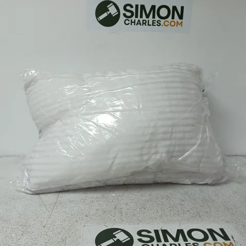 SET OF 2 PILLOWS