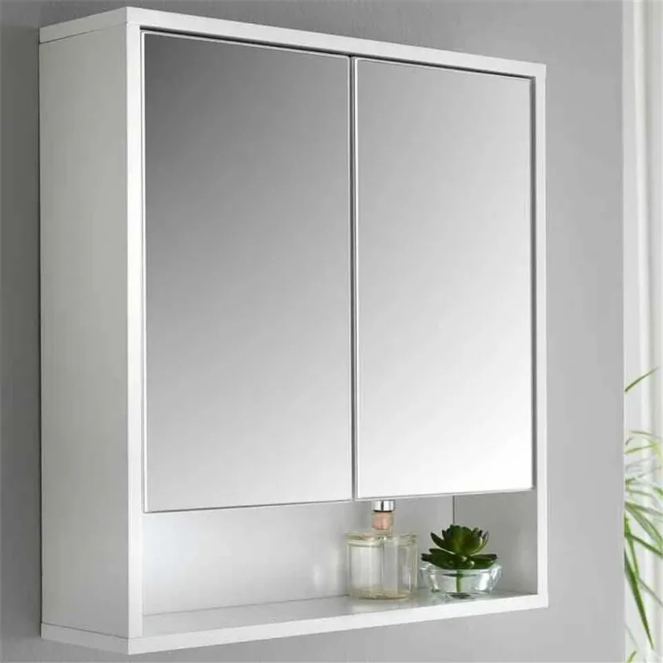 BOXED DANAISA 46CM X 50CM SURFACE MOUNT MIRROR