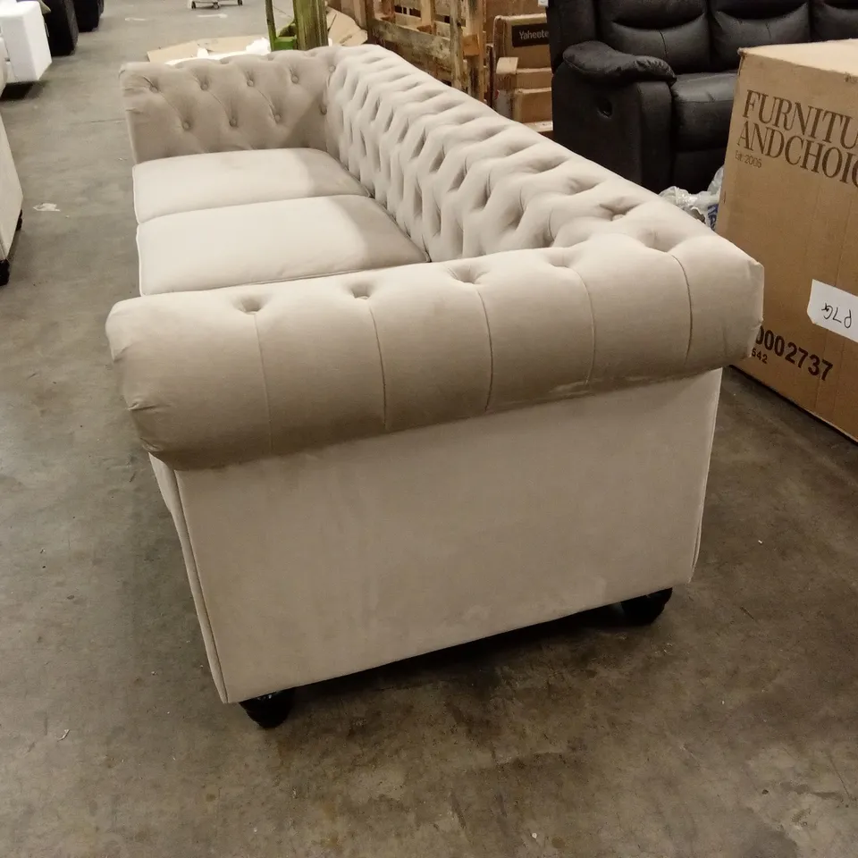 HAMPTON 3 SEATER CHESTERFIELD SOFA, CHAMPAGNE CLASSIC VELVET