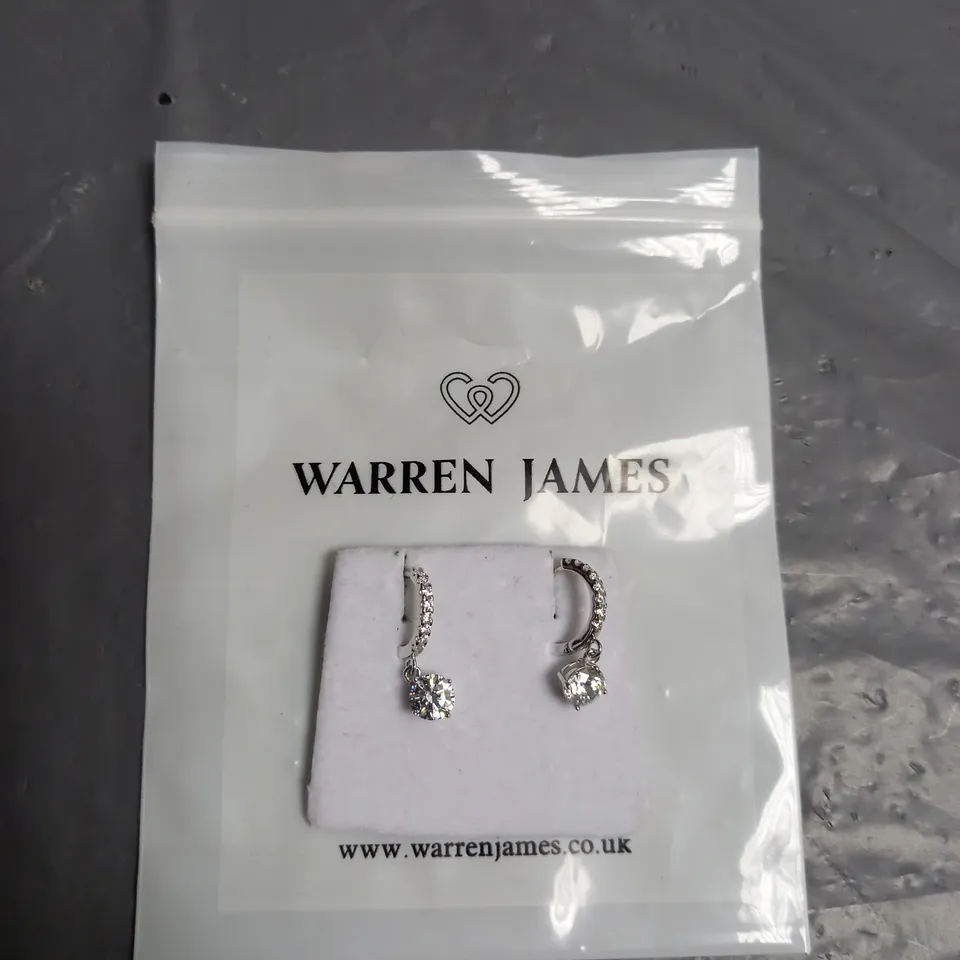 WARREN JAMES SILVER DROP EARRINGS