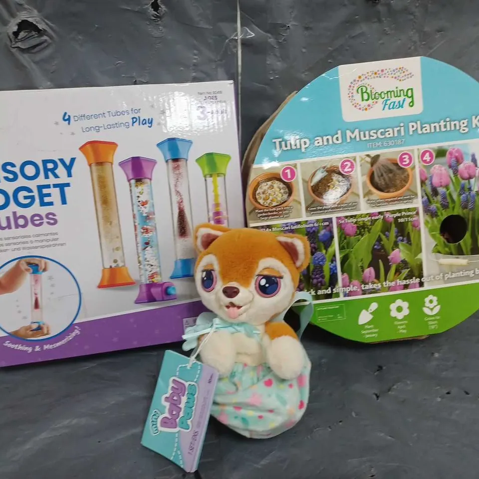 APPROXIMATELY 5 ASSORTED ITEMS TO INCLUDE SENSORY FIDGET TUBES, TULIP AND MUSCARI PLANTING KIT, MINI BABY PAWS PLUSH, ETC