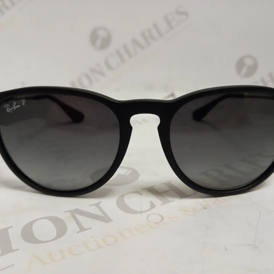 RAY-BAN STYLE ERIKA SUNGLASSES