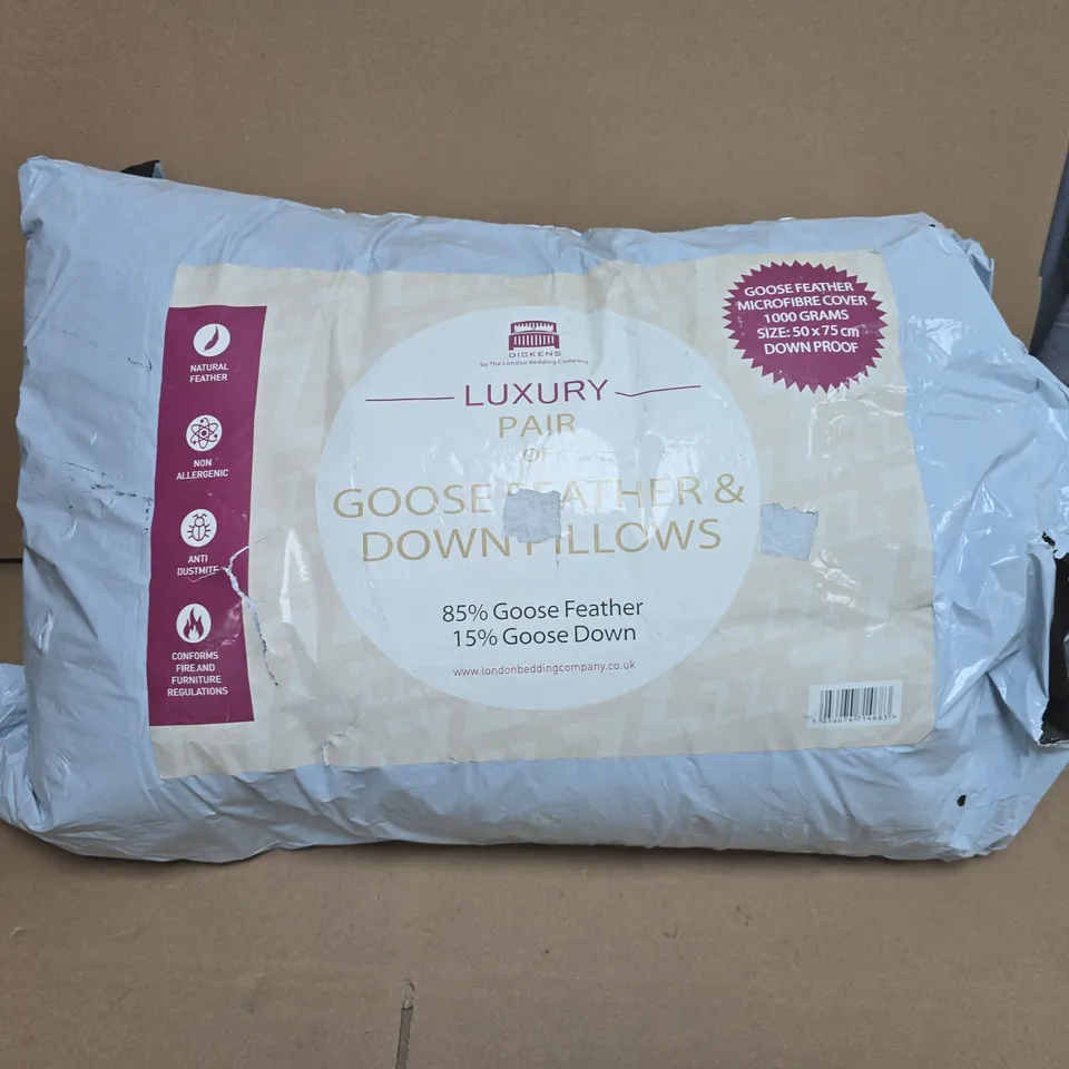 GOOSE FEATHER & DOWN PILLOWS – LUXURY PAIR, 50 X 75 CM