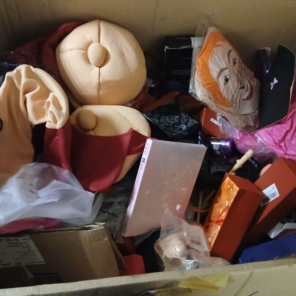ASSORTED ADULT NOVELTY OUTFITS AND SEX TOY ACCESSORIES – MIXED LOT (NSFW)