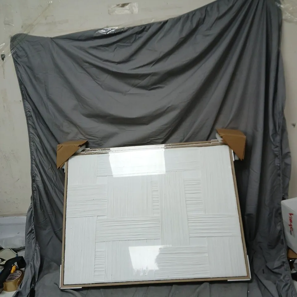 2X CANVAS PICTURE FRAMES