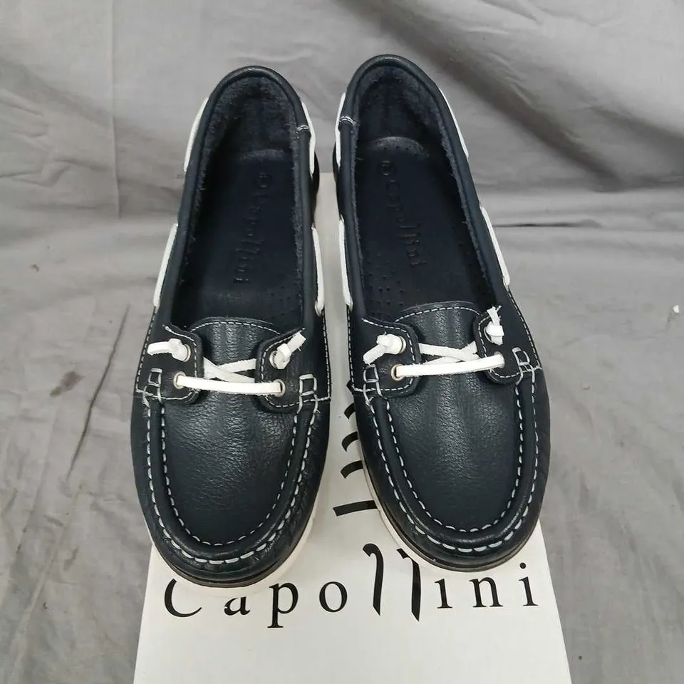 CAPOLLINI TILDA C715 NAVY/WHITE LEATHER BOAT SHOES (UK 5, EU 38)