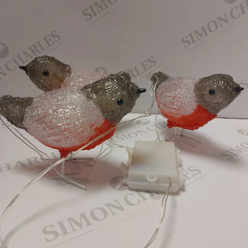SET ACRYLIC LIGHT ROBIN OUTDOOR CHRISTMAS DECORATIONS