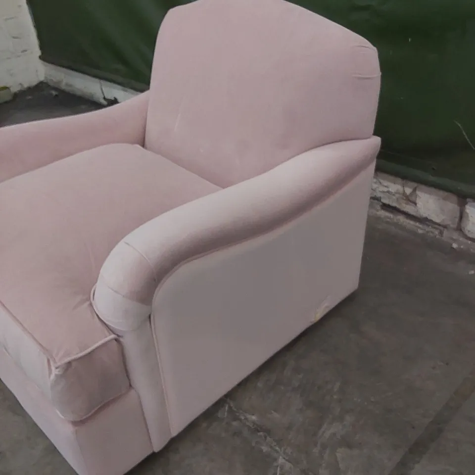 QUALITY DESIGNER THE APPLEDOE ARMCHAIR - PETAL VELVET
