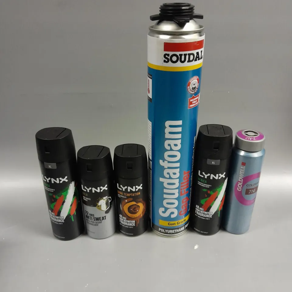 APPROXIMATELY 20 ASSORTED AEROSOLS TO INCLUDE LYNX BODY SPRAY, GOLDWELL COLORANCE, SOUDAFOAM ETC - COLLECTION ONLY 