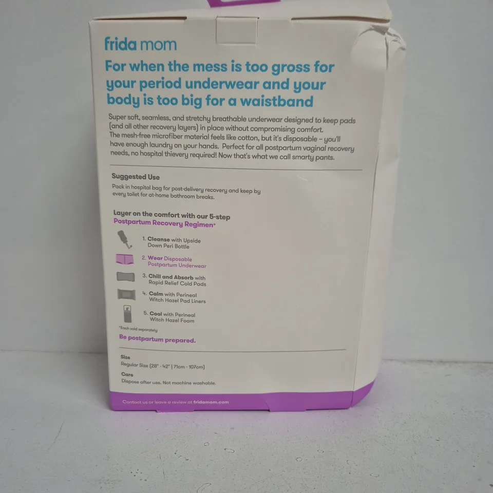 FRIDA MOM DISPOSABLE POSTPARTUM UNDERWEAR – REGULAR, 8 BRIEFS (BOXED)