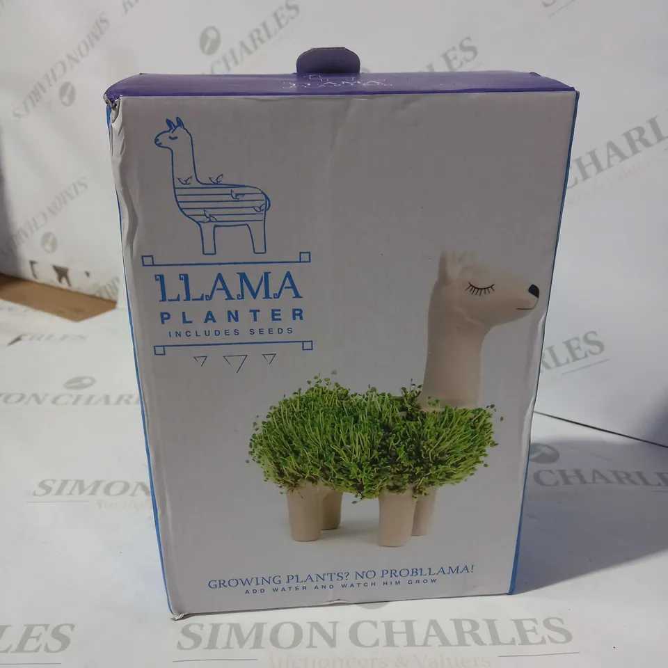 BOXED LLAMA PLANTER