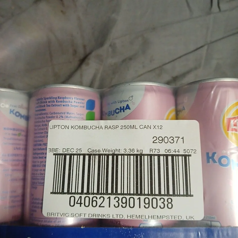 LIPTON KOMBUCHA RASPBERRY 250ML – PACK OF 12 CANS