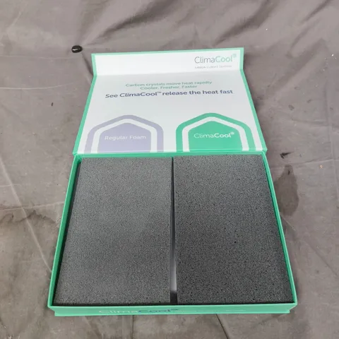 CLIMACOOL CARBON CLIMATE CONTROL – DUAL FOAM BLOCKS IN GREEN BOX