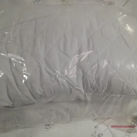 SET OF 2 LUXURY PILLOWS