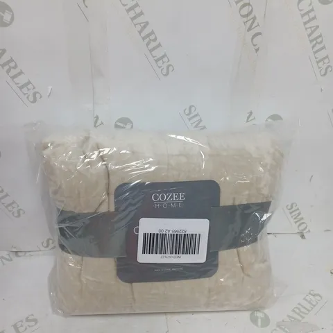 OUTLET COZEE HOME SET OF 2 CRUSHED VELVET PILLOWCASE WITH SATIN TRIM