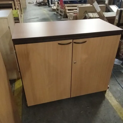 2-DOOR STORAGE CABINET