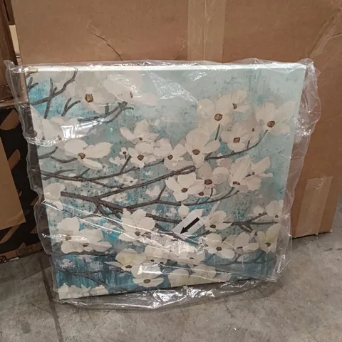 BOXED DOGWOOD BLOSSOMS II BY JAMES WIENS - CANVAS PRINT ART