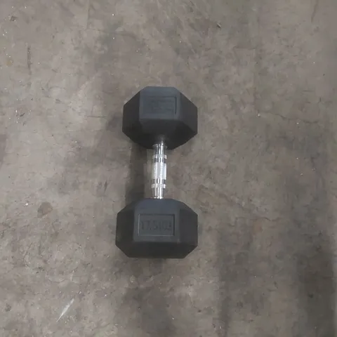 BODY REVOLUTION 17.5KG DUMBELL