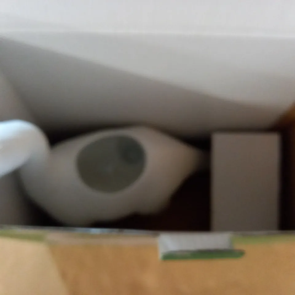 BOXED PLANTOSAURUS PORCELAIN PLANTER