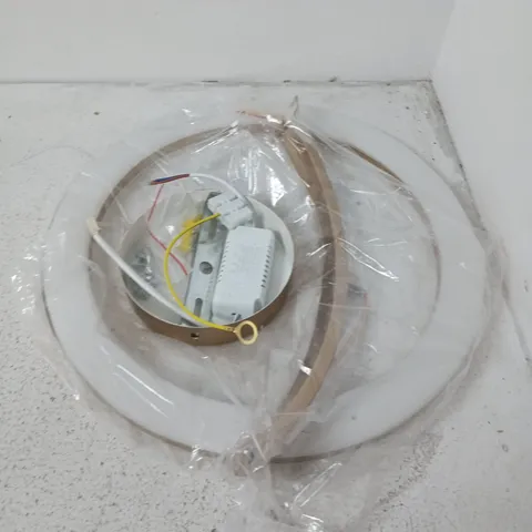 CANOPY CEILING LIGHT