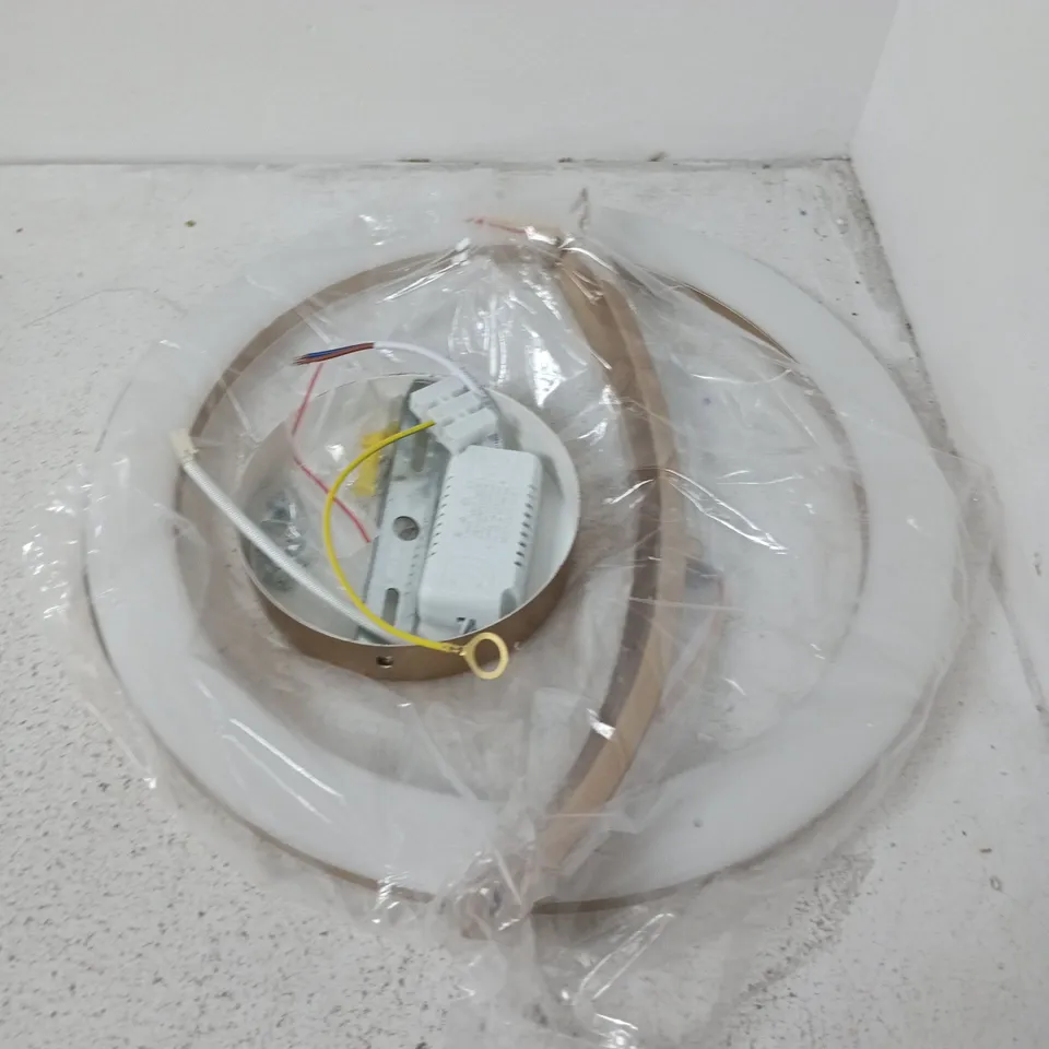 CANOPY CEILING LIGHT