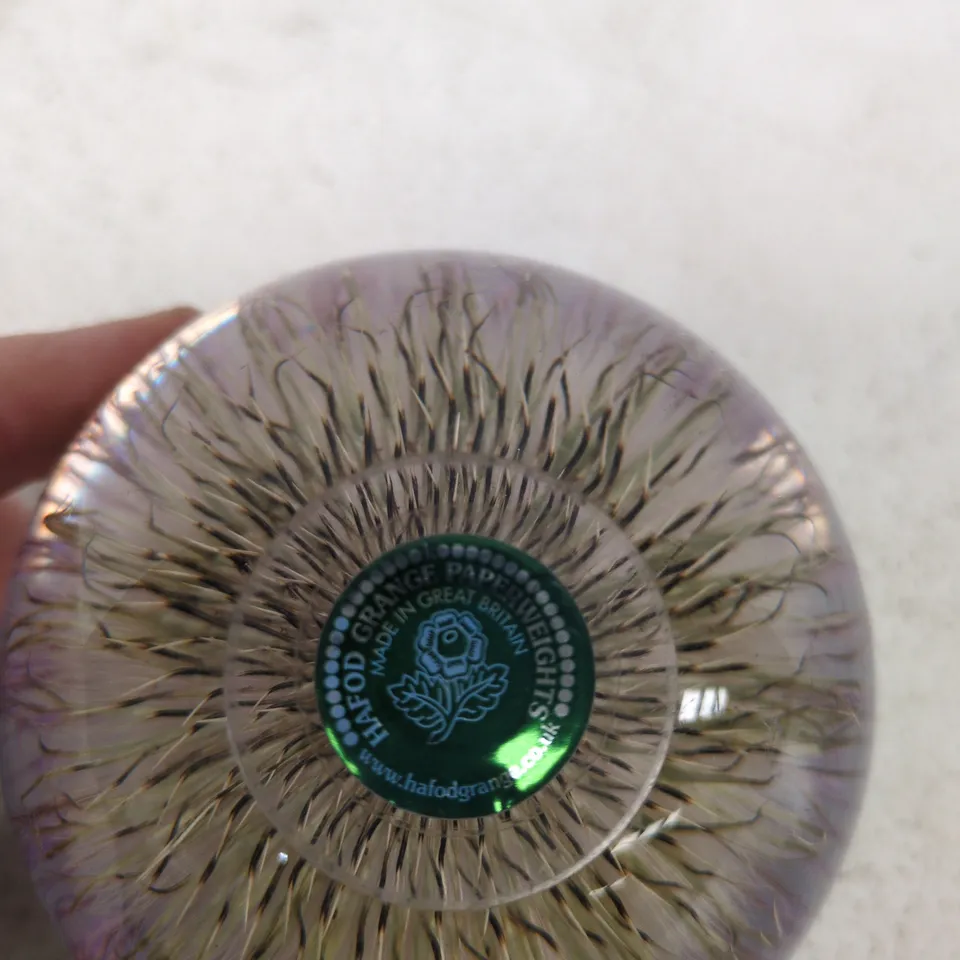 HAFOD GRANGE PAPERWEIGHT "OPEN THISTLE" SCOTLAND STUART'S