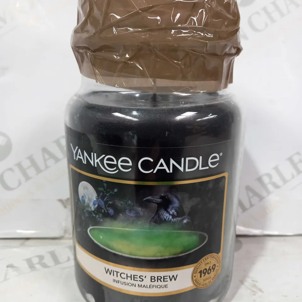 YANKEE CANDLE - WITCHES BREW (623G)