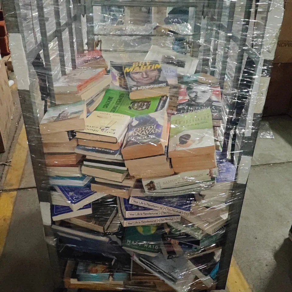 LARGE QUANTITY OF ASSORTED BOOKS TO INCLUDE GUY MARTIN AUTOBIOGRAPHY, CRACKING THE CODING INTERVIEW AND TRUDI CANAVAN THE ROGUE