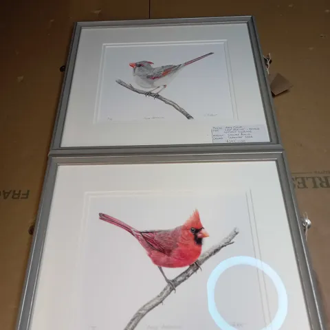 SET OF 2 PENCIL DRAWN PICTURES