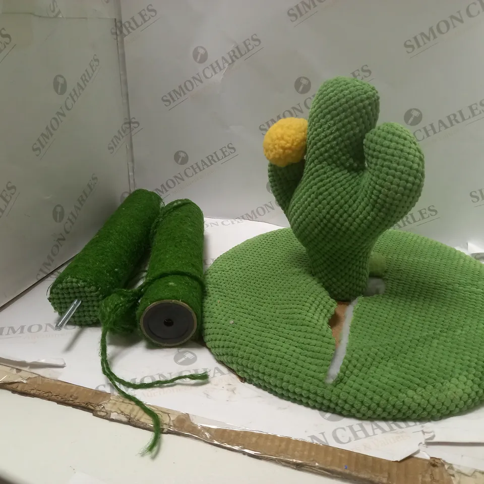 BOXED CACTUS AND YARN