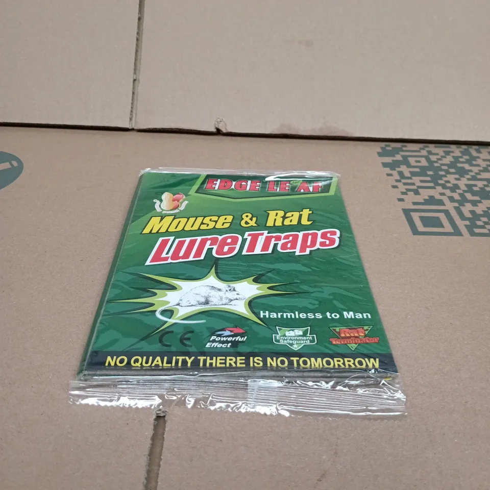 BOX OF APPROXIMATELY 10 ASSORTED GOODS INCLUDING GY11 HEADLAMP, SMOL DISHWASHER TABLETS AND EDGE LEAF MOUSE AND RAT LURE TRAPS