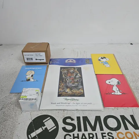 APPROXIMATELY 30 ASSORTED ITEMS INCLUDING A SNOOPY CARD, CREATIVE WORLD DMC CROSS STITCH KIT AND A THERMOSTAT