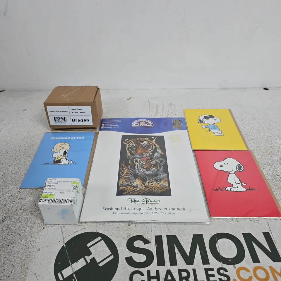 APPROXIMATELY 30 ASSORTED ITEMS INCLUDING A SNOOPY CARD, CREATIVE WORLD DMC CROSS STITCH KIT AND A THERMOSTAT