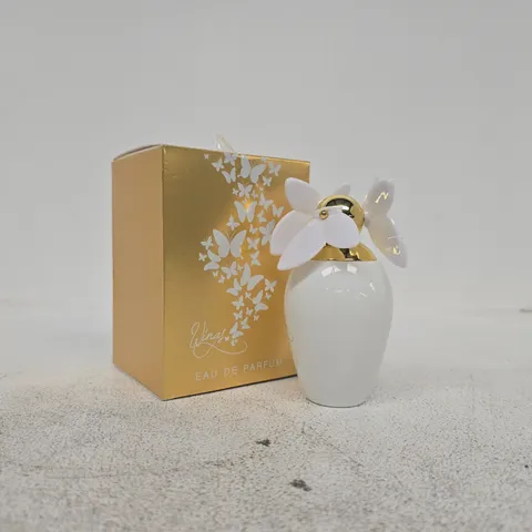 BOXED WINGS EAU DE PARFUM ( 100ML)