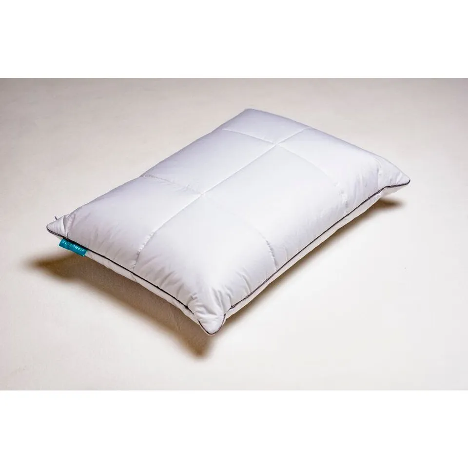 WHOLE FOAM L65 X W45CM SUPPORT PILLOW 