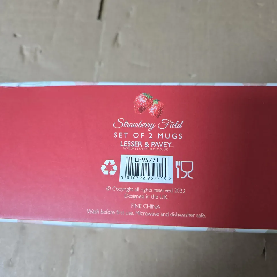 THE LEONARDO COLLECTION STRAWBERRY FIELD SET OF 2 MUGS – LESSER & PAVEY, FINE CHINA