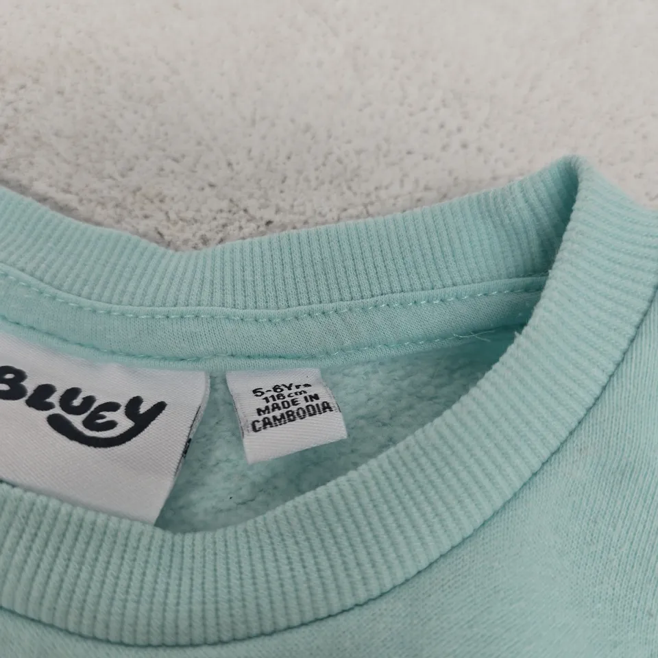 BLUEY CHILDRENS JUMPER AGE 5-6 YEARS
