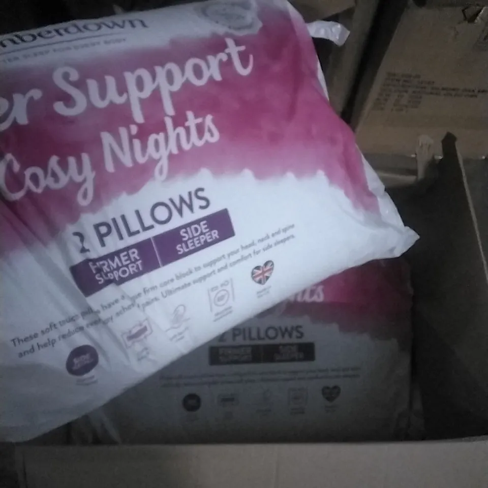 BOXED SLUMBER DOWN SET OF 2 PILLOWS - TWO IN BOX 